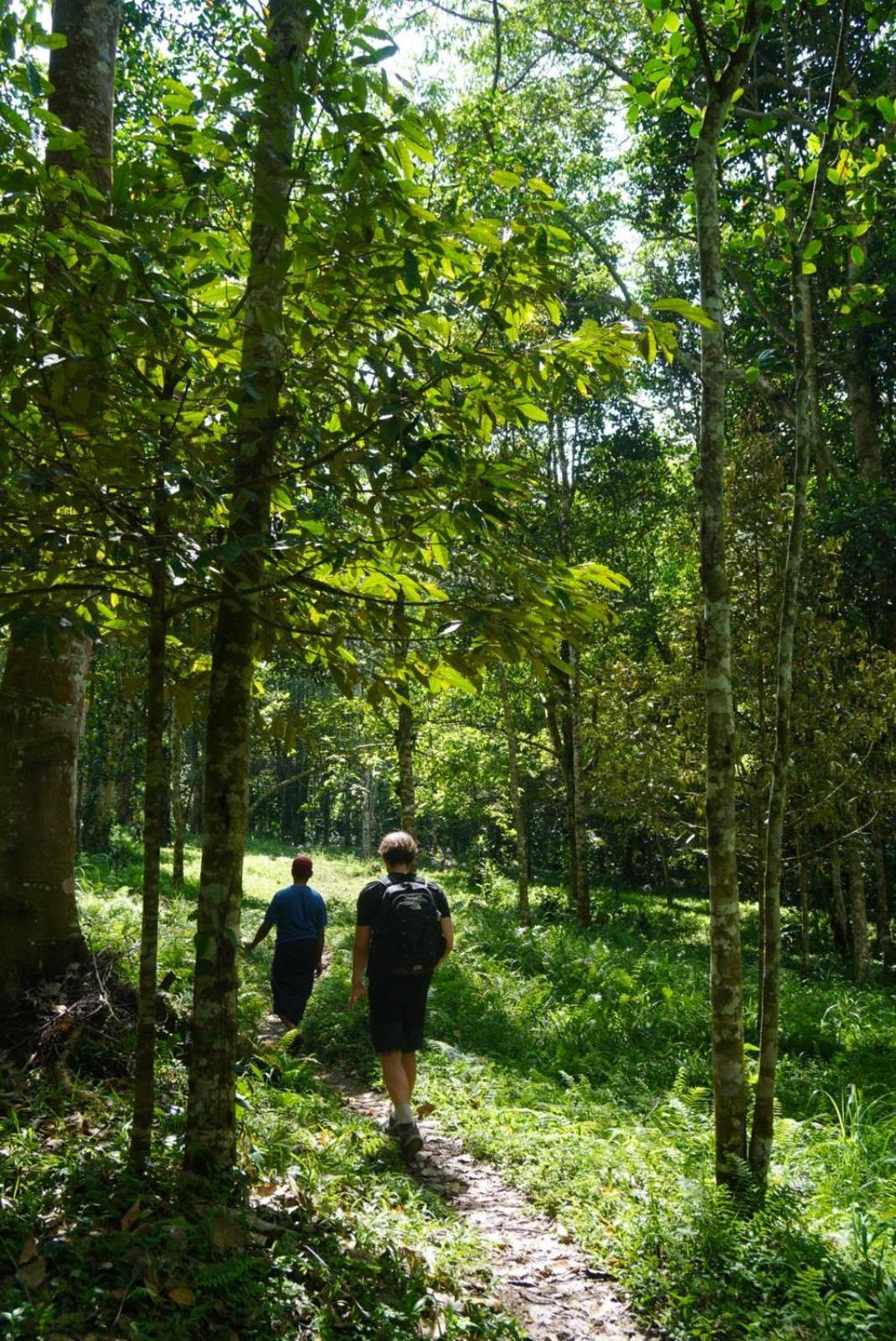 Tetebatu Indah Homestay Luaran gambar