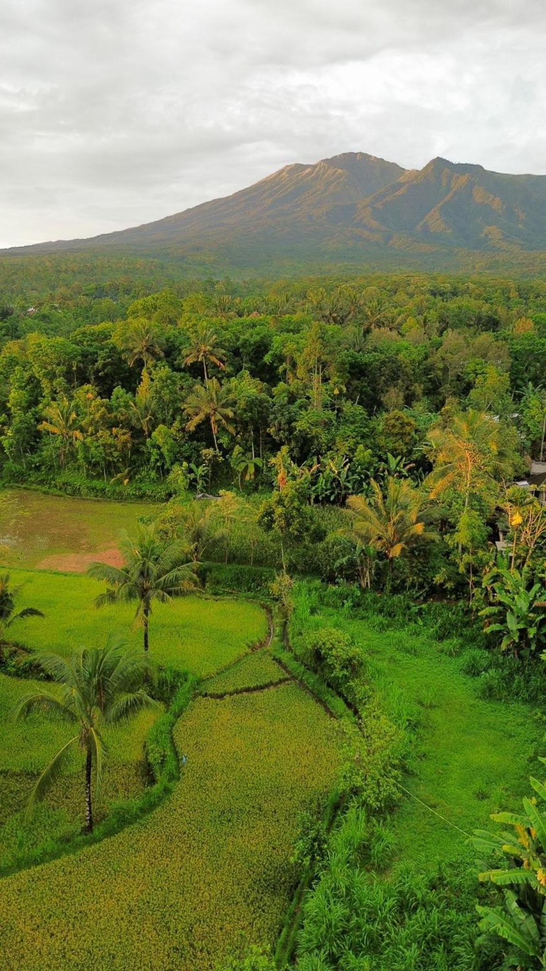 Tetebatu Indah Homestay Luaran gambar