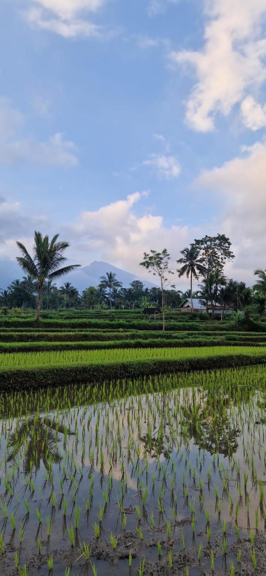 Tetebatu Indah Homestay Luaran gambar
