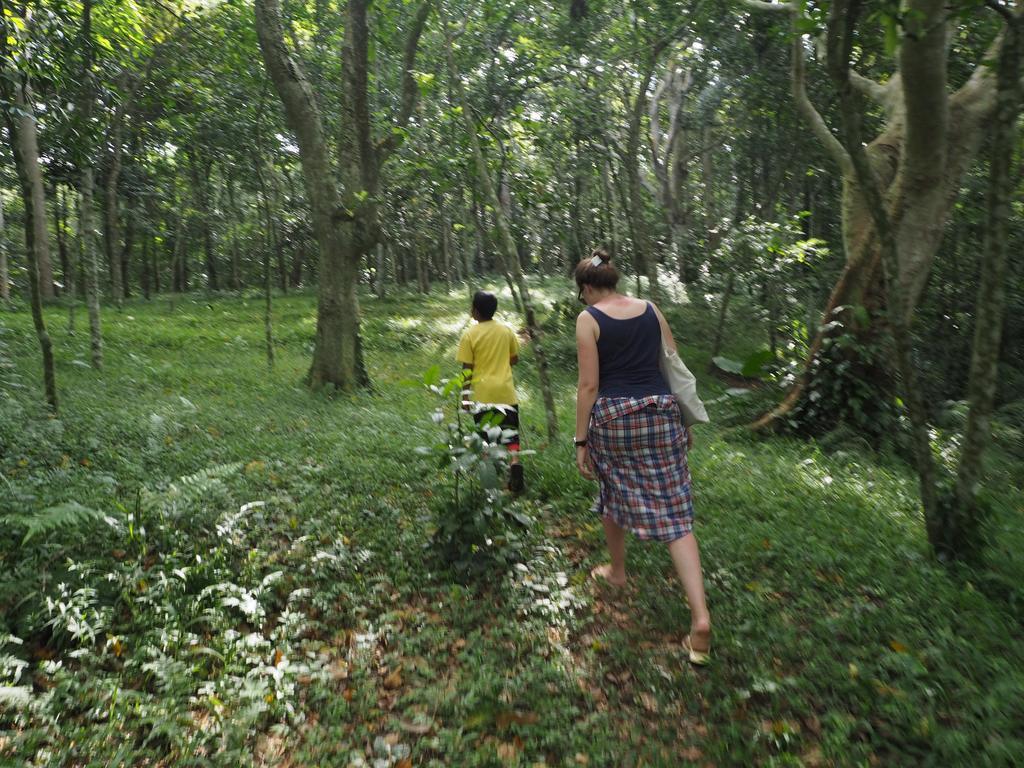 Tetebatu Indah Homestay Luaran gambar