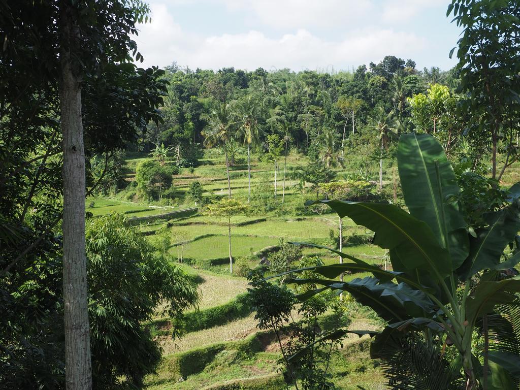 Tetebatu Indah Homestay Luaran gambar