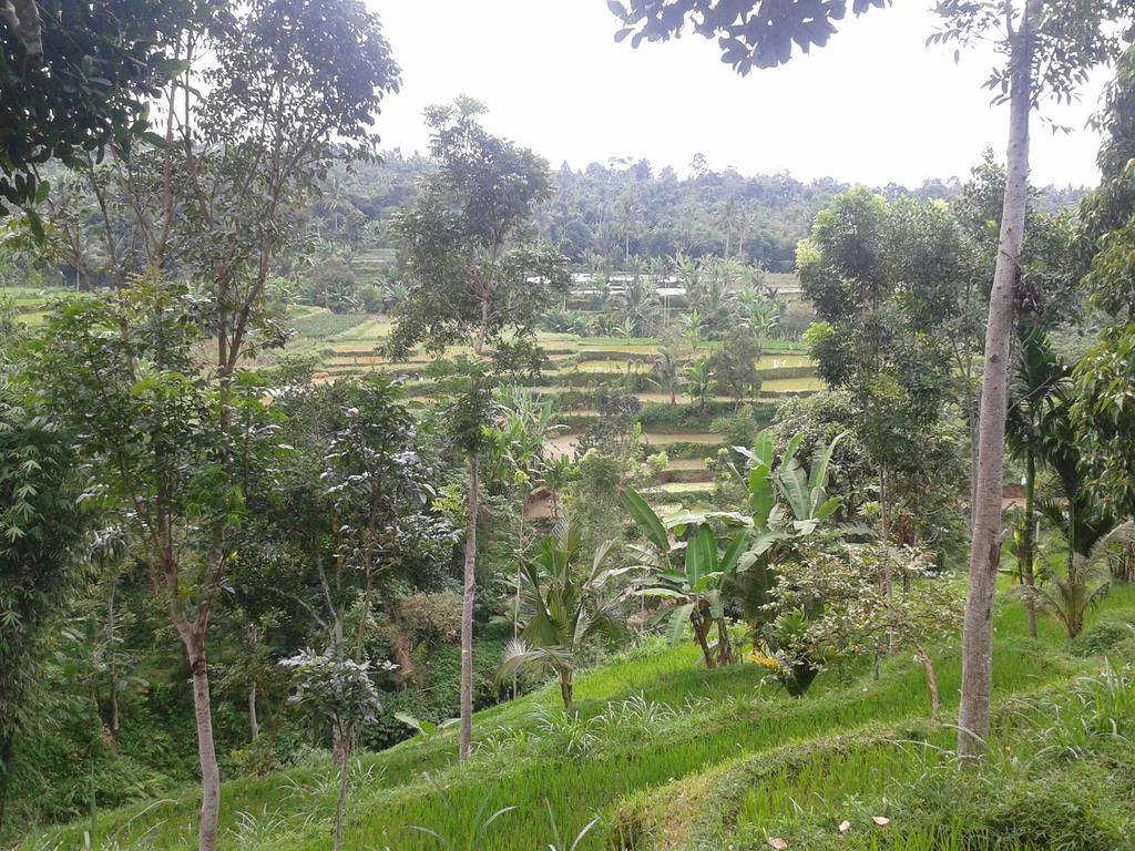 Tetebatu Indah Homestay Luaran gambar