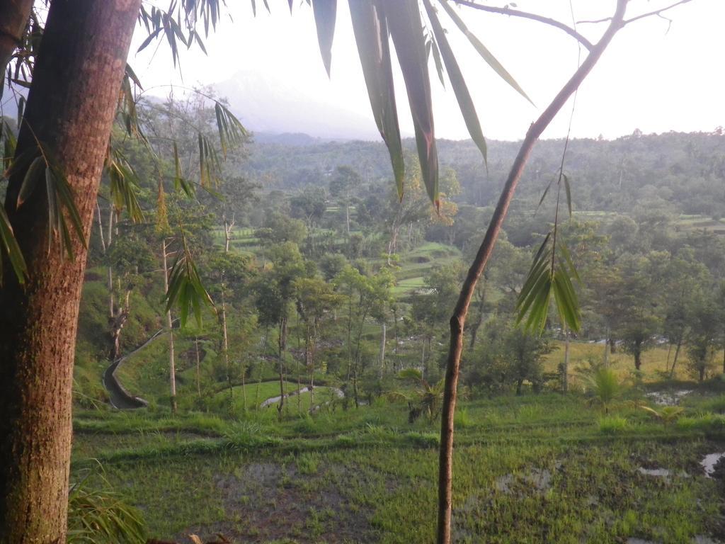 Tetebatu Indah Homestay Luaran gambar